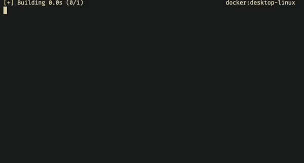 Docker build output